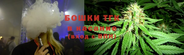 гашик Аркадак