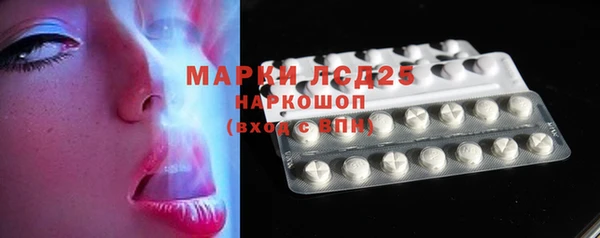 гашик Аркадак