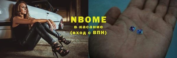 гашик Аркадак