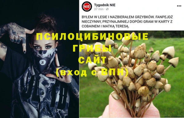 крисы Балабаново