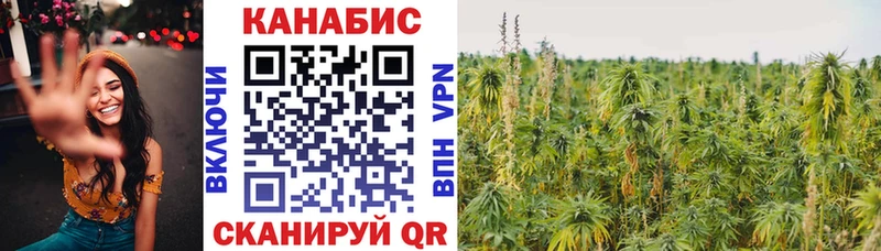 Марихуана сатива Ростов